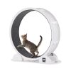 VEVOR Cat Exercise Wheel with Pedometer 40.8" Cat Treadmill for Pet Health White