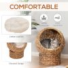 20" Natural Braided Banana Leaf Elevated Cat Bed Basket with Cushion - Brown