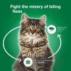 Vet-Recommended Flea Prevention for Large Cats +9 lbs;  6 Monthly Treatments