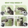 53" Cat Tree, Cat Tower with Scratching Posts, Cat Condo, Beds, Platforms, Toy Balls for Indoor Cats, Light Grey