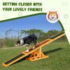 Wood Pet Seesaw Platform Dog Agility Training Equipment Run Game Toy Weather Resistant Pet Supplies Natural