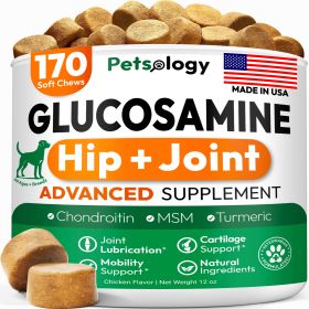 Glucosamine for Dogs Hip and Joint Supplement for Dogs 170 Mobility Chews Glucosamine Chondroitin MSM Turmeric Joint Pain Relief Advanced Support