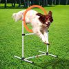 Dog Agility Training Jump Ring / Hurdle Bar