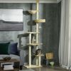 Floor to Ceiling Cat Tree, Cat Climbing Tower with Platforms, Bed, Hammock, Scratching Posts, Toy Balls, Beige