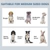 Pet Food Storage Container Dog Feeding Station w/ Adjustable Panel, Hooks, for Medium Sized Dogs, White