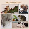 Wall Mounted Cat Shelves with Scratching Post, Ladder, Condo, Jumping Platforms, Light Grey