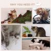 Cat Wall Shelves, 3PCs Cat Shelves with Hammock, Scratching Post, 3 Steps, Jumping Platforms, Wall Mounted Cat Climber, Beige