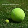 Big Tennis Ball for Dogs-9.5" Inflatable Giant Tennis Balls Large Pet Toys for Outdoor/Indoor Sports Oversize Dog Toy Ball for Small/Medium/Large Dogs