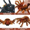 Remote Control Spider Toys ; For Kids Pets USB Rechargeable Indoor And Outdoor Prank Toys ; Kids Electronics Halloween Boys Girls For Children