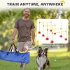 4 Piece Dog Agility Course Backyard Set with 4 Height Adjustable Dog Agility Jumps, Carry Bag, Yellow