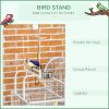 PawHut 64 Inch Bird Cage for Medium Small Parrots Cockatiel Cages Budgies Lovebirds Parrotlets with Rolling Stand