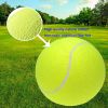 Big Tennis Ball for Dogs-9.5" Inflatable Giant Tennis Balls Large Pet Toys for Outdoor/Indoor Sports Oversize Dog Toy Ball for Small/Medium/Large Dogs