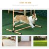 6 Piece Dog Agility Training Equipment with Hurdle Bag and Whistle, Orange and White