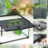 Glass Reptile Terrarium with Thermometer, Water Basin, Full View Visually for Lizards, Horned Frogs, Snakes, Spiders
