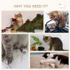 5PCs Cat Wall Shelves with Hammock, Scratching Posts, Perches, Ladder, for Indoor Cats, Light Grey