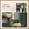 PawHut Adjustable Floor to Ceiling Cat Tree Beige with Bed Scratching Posts for Kittens