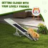 Wood Pet Seesaw, Dog Agility Training Equipment for Obedience Training, Weather Resistant, White