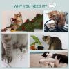 Wall-Mounted Cat Shelf with 4 Platforms and 3 Scratching Posts, Cat Wall Climber for Climbing and Lounging, Light Grey