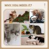 17" Small Cat Tree, Cat Tower with Sisal Scratching Post, Dangling Ball, Bed, Kitten Activity Centre, Light Grey