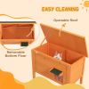 Outdoor Insulated Cat House with Asphalt Roof, Removable Floor, for Cats, Small Animals