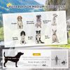 Dog Bike Trailer 2-In-1 Pet Stroller with Canopy and Storage Pockets, White