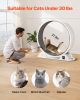 VEVOR Cat Exercise Wheel with Pedometer 40.8" Cat Treadmill for Pet Health White