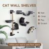Cat Wall Shelf with Scratching Post, Play Balls, Platforms, Dark Grey