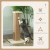 32" Tall Cat Scratching Post for Indoor Cats and Kittens, Sisal Cat Scratcher with Hanging Ball Soft Plush, Beige