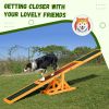Wood Pet Seesaw Platform Dog Agility Training Equipment Run Game Toy Weather Resistant Pet Supplies Natural
