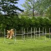 8 Piece Dog Agility Set with Adjustable Height Jump Bars, Carry Bag, Displacing Top Bar, White