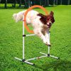 Dog Agility Training Jump Ring / Hurdle Bar