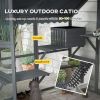 Large Catio Outdoor with Waterproof Cover, 2 Resting Boxes, 4 Platforms, Bridge, for 2-4 Kittens, Grey