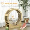 36" Cat Wheel for Indoor Cats with Brake, Scratching Pads, Oak