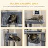 55" Cat Tree for Indoor Cats, Cat Tower, Kitty Activity Center with Cat Bed Ramp Condo Hammocks Hanging Ball Toys Sisal Rope Scratching Post, Grey