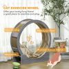 36" Cat Wheel for Indoor Cats with Brake, Scratching Pads, Grey
