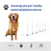 Adjustable Dog Agility Training Obstacle Set with Weaves Poles and Storage Bag for Pet Dogs Outdoor Games Exercise White