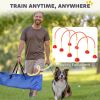 4 Piece Dog Agility Equipment w/ 4 Adjustable Width Doors, Carry Bag, Easy Assemble & Portable, Orange