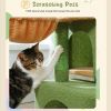 Cats Cactus Cat Tree with Cat Condos for Indoor
