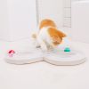 Toy cat turntable teasing cat set tunnel teasing cat stick pet supplies
