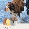 Acorn Shape Educational Slow Eating Toys for Pet