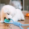 Pet Cotton Rope Hand Pull Leakage Food Ball Teeth Cleaning Toys