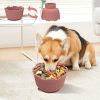 Anti-choking Pet Slow Licking Bowl With Suction Cup