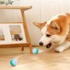 Smart Pet Toys For Dogs & Cats; Automatic Rolling Ball Electric Cat Toys; Interactive Cat Toys