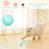 Pet Toy  Automatic Rotating Ball Cat Teasing Ball