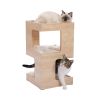 Indoor Decor Wooden Cat Tower with 2-Floor Condo