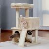Modern Multilevel Plush Double Condos Cat Tree