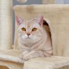 Modern Multilevel Plush Double Condos Cat Tree